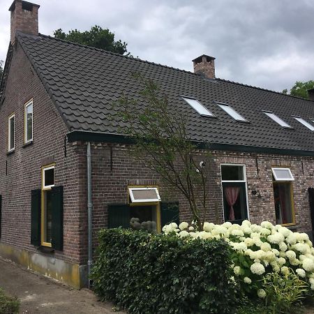 Vakantiehuis In Het Voorhuis Dommelen Bagian luar foto