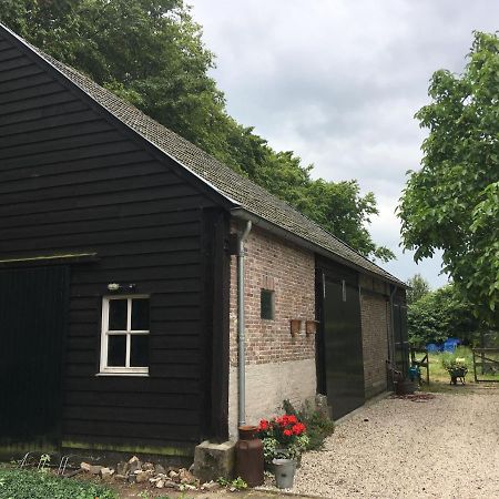Vakantiehuis In Het Voorhuis Dommelen Bagian luar foto